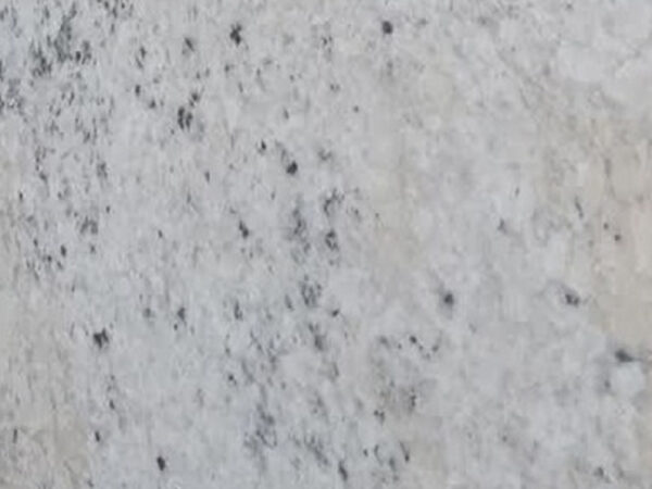 Fantastic White
